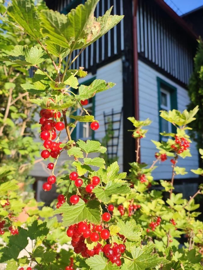 Ferienwohnung Wiking Schreiberhau Exterior foto
